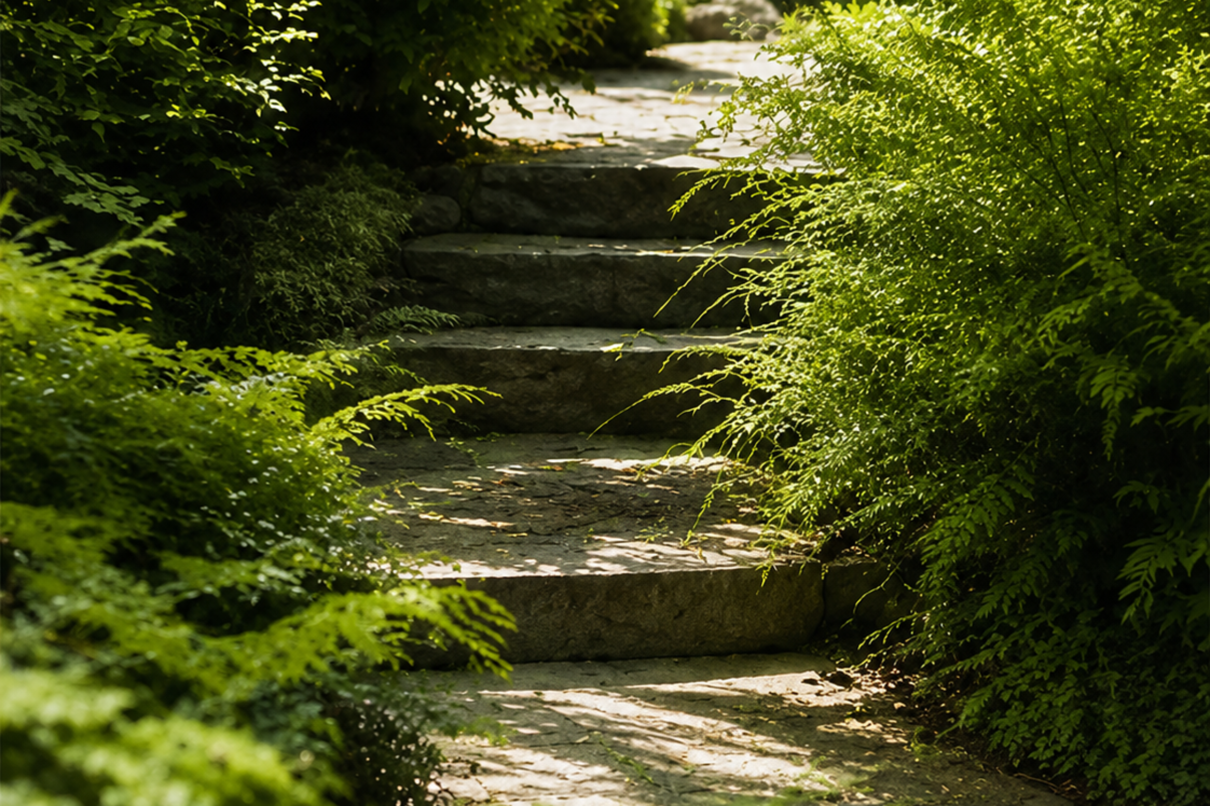 Wellbeing Coaching at Natalie Selina